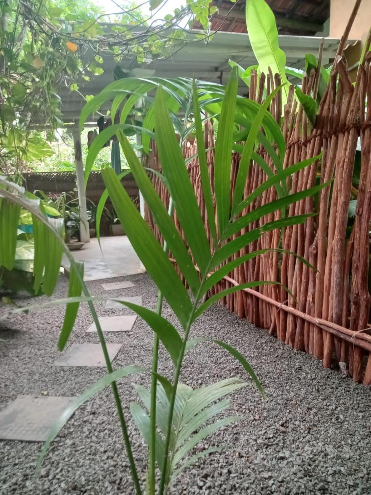 Hiriketiya Mahi Surf Apartamento Dikwella Exterior foto